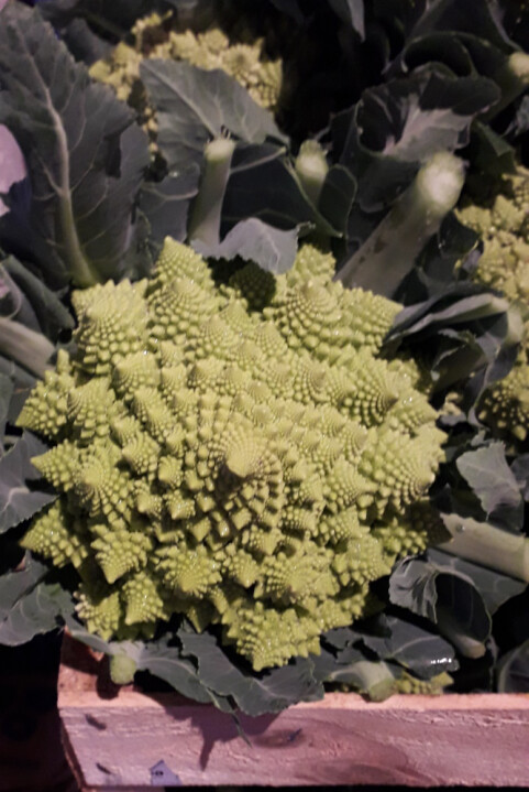 Chou Romanesco